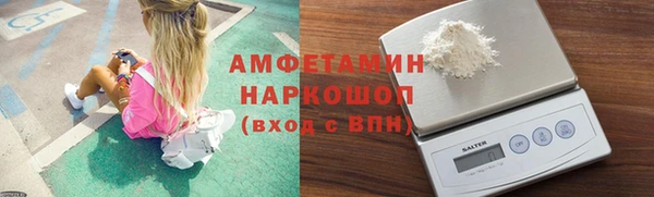 сатива Аркадак