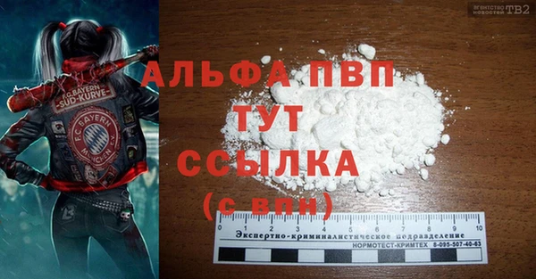 сатива Аркадак